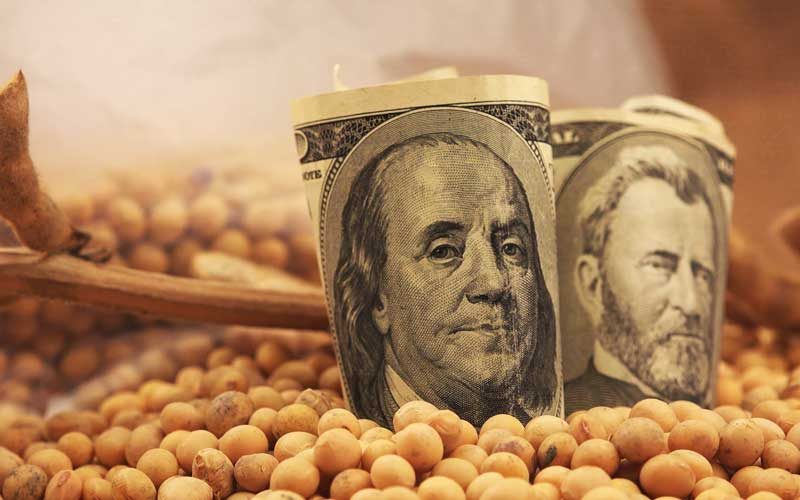 رغم تأخر الحصاد في الأرجنتين.. أسعار فول الصويا تحت ضغط بسبب انخفاض الطلب الصيني