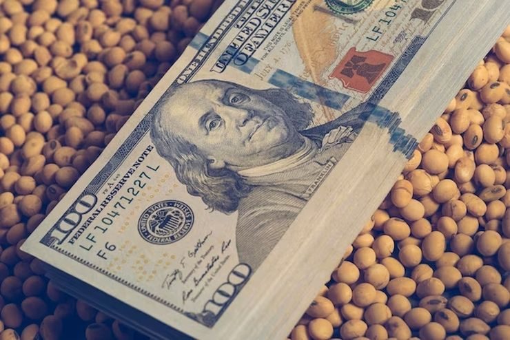 العقود الآجلة لفول الصويا تنخفض وسط مخاوف بشأن التجارة الدولية بسبب ضعف الطلب