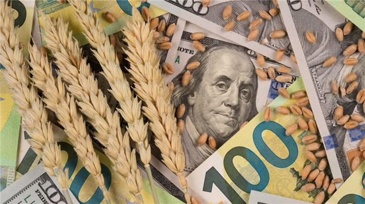 العقود الآجلة للقمح في يورونكست تصل إلى أعلى مستوى لها منذ الأول من سبتمبر