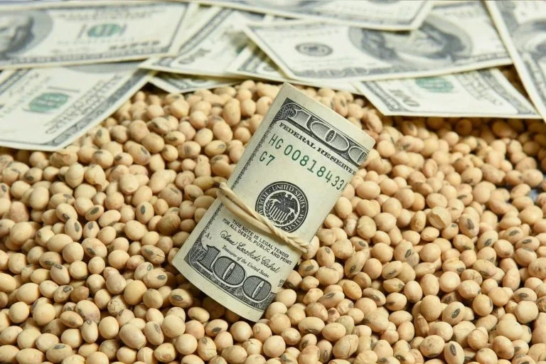 ارتفاع العقود الآجلة لفول الصويا من أدنى مستوياتها خلال عدة أشهر يوم الإثنين