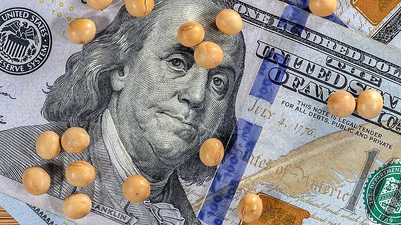 العقود الآجلة لفول الصويا تسجل أعلى مستوى لها في شهرين خلال الأسبوع الماضي