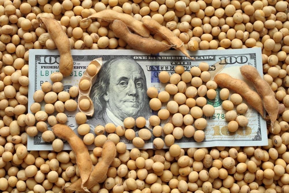 انخفاض أسعار عقود فول الصويا بنسبة 9.2% خلال شهر ديسمبر