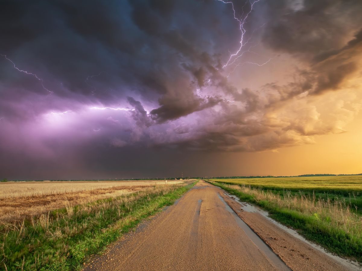 الطقس الملائم في البرازيل وأوكرانيا وأستراليا يضغط على أسعار فول الصويا والذرة بالأسابيع المقبلة