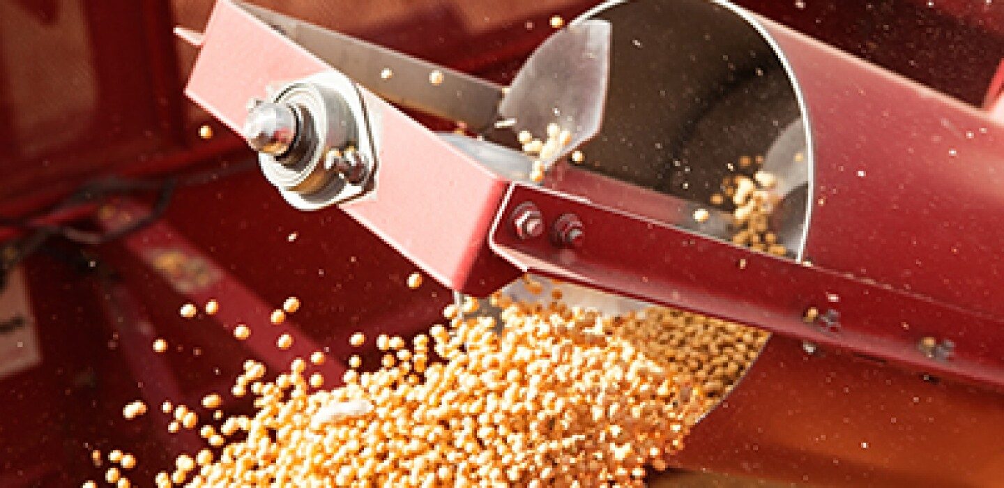 "سلال الإيرانية" تطرح مناقصتين لشراء 180 ألف طن من الذرة و 120.000 طن دقيق الصويا