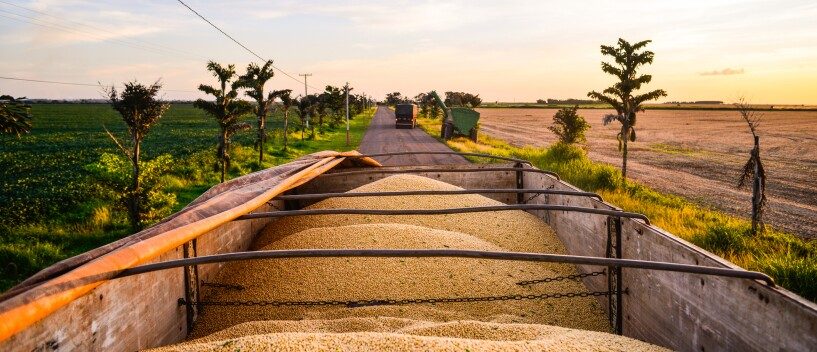 سلوفاكيا تعلن حظر استيراد الحبوب الزراعية الأوكرانية لهذا السبب!