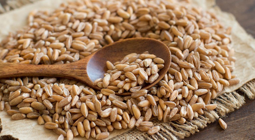 أسعار القمح الروسي ترتفع للأسبوع الثالث على التوالي