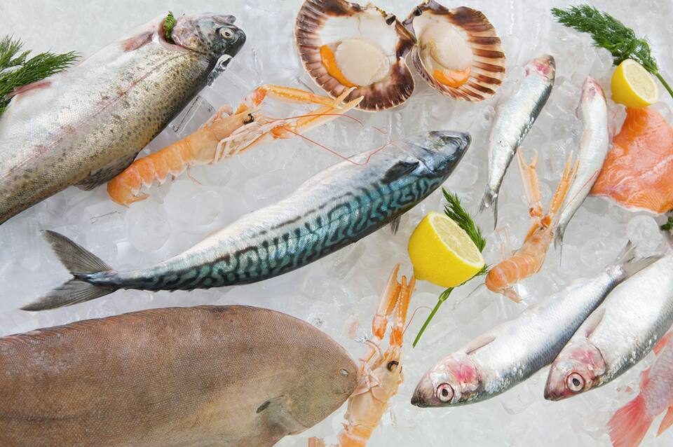 أسعار السمك