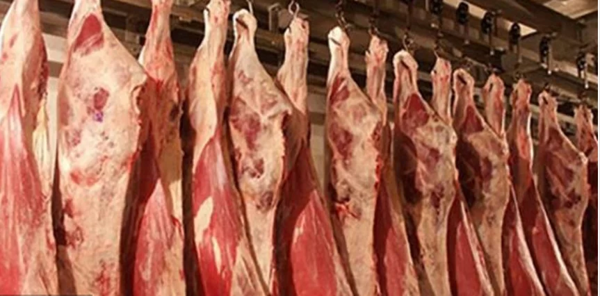 سجل سعر الموزة البلدي بقري ما بين 200 جنيه إلى 220 جنيها