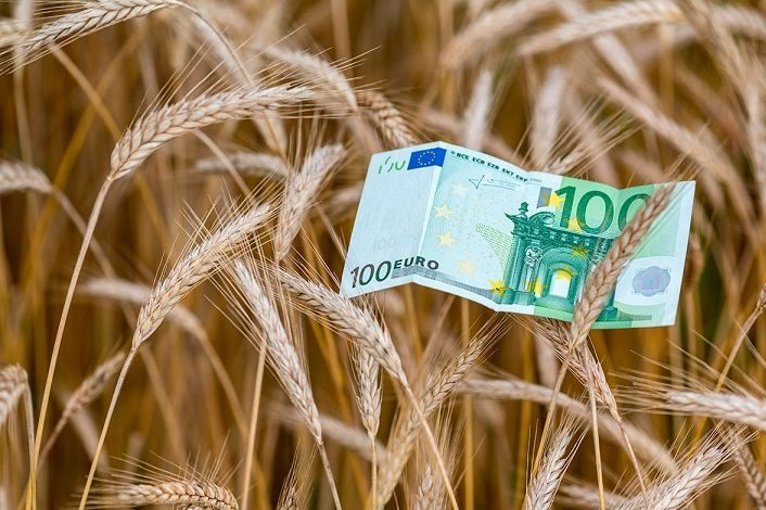 العقود الآجلة للقمح تتراجع في ختام جلسة الأربعاء وسط المخزونات العالمية الكبيرة