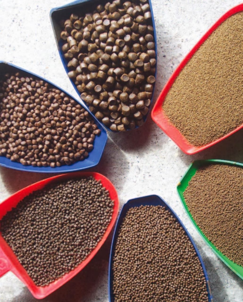 مكة للأعلاف: وفرة في المعروض واستقرار الأسعار خلال الفترة المقبلة+