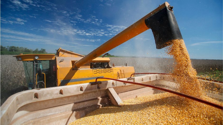إنتاج الحبوب البرازيلي بقدر بـ 339,6 مليون طن في موسم 2024-2025
