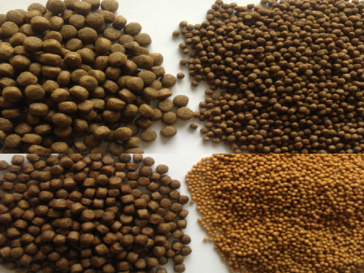 خاص| مدير بيع بأحد شركات علف الأسماك: الطقس الجيد يرفع الطلب على الأعلاف