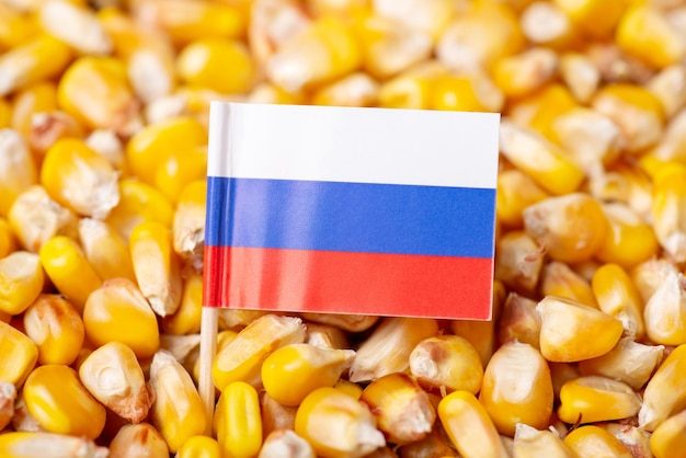 كوريا واليابان يعززان مشتريات الذرة الروسية في الربع الأول من عام 2025