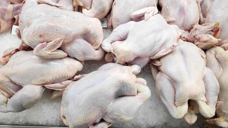 بـ 90 جنيها.. طرح دواجن طازجة فى منافذ بيع المصالح الحكومية بالخارجة