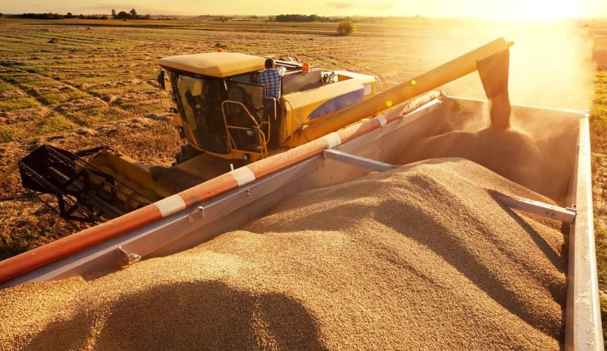 انخفاض صادرات القمح الروسي إلى الصين بمقدار 9 أضعاف في الفترة من يناير إلى فبراير