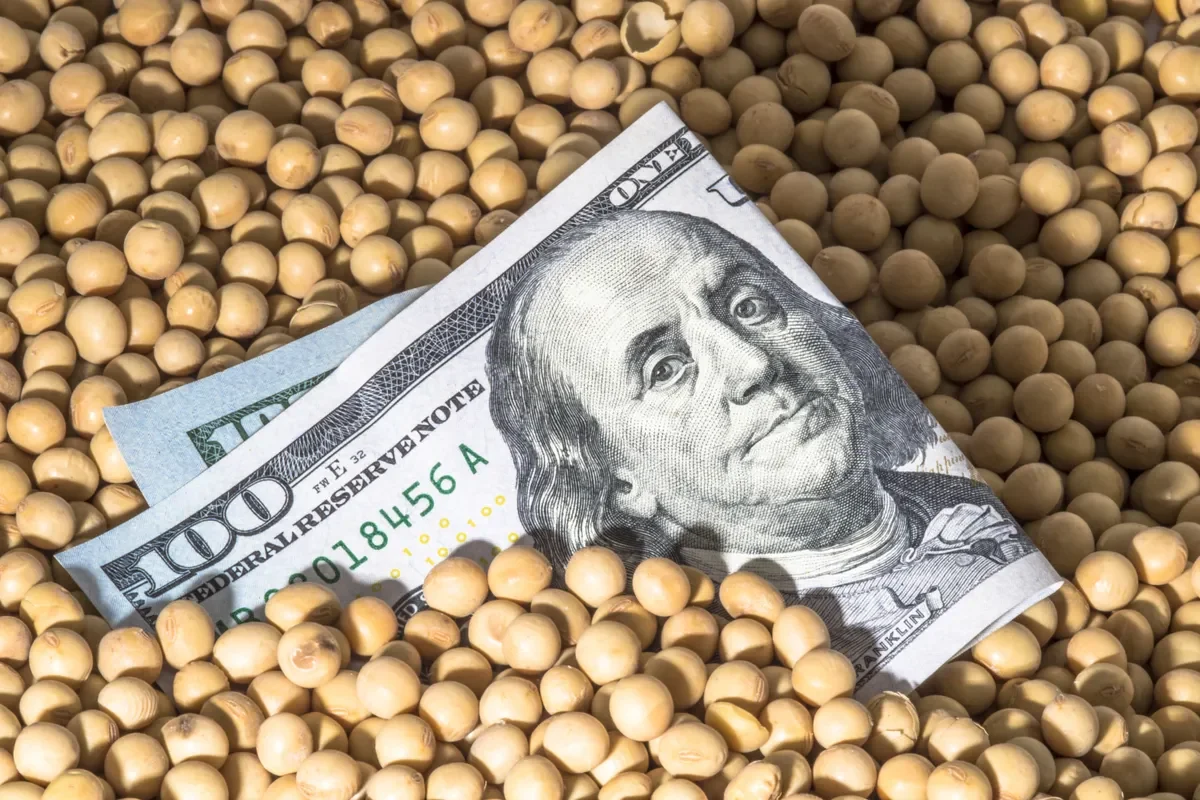 المنافسة مع الصادرات البرازيلية تضغط على أسعار فول الصويا الأمريكي