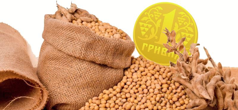 أسعار فول الصويا بالسوق الأوكراني تستمر في الانخفاض تحت ضغط رسوم التصدير المفروضة