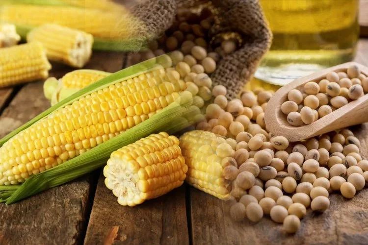 خاص| مستورد خامات يكشف مصير الأسعار خلال الفترة القادمة بعد الارتفاع الأخير