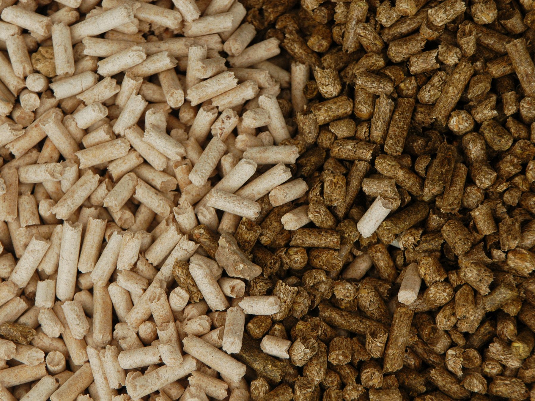 عن ظاهرة موت الأسماك.. سكرتينج إيجيبت: يجب إتباع الإرشادات الصحيحة للإستزراع السمكي