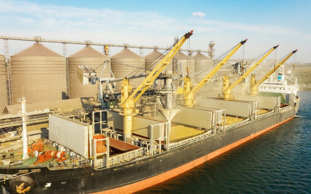 مصدري الحبوب الروسي يجب طرد التجار والوسطاء الأجانب من السوق