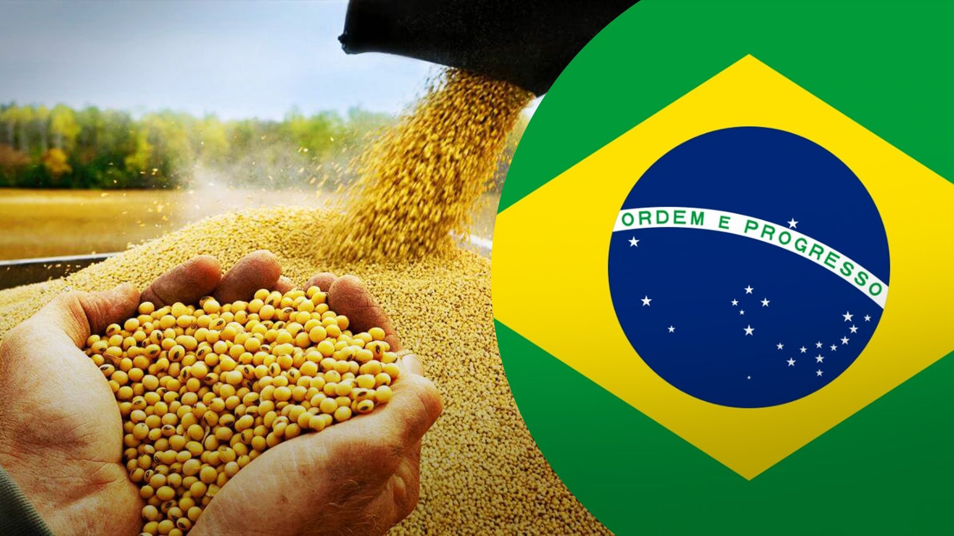 صادرات فول الصويا البرازيلية تصل إلى 12.11 مليون طن في يوليو
