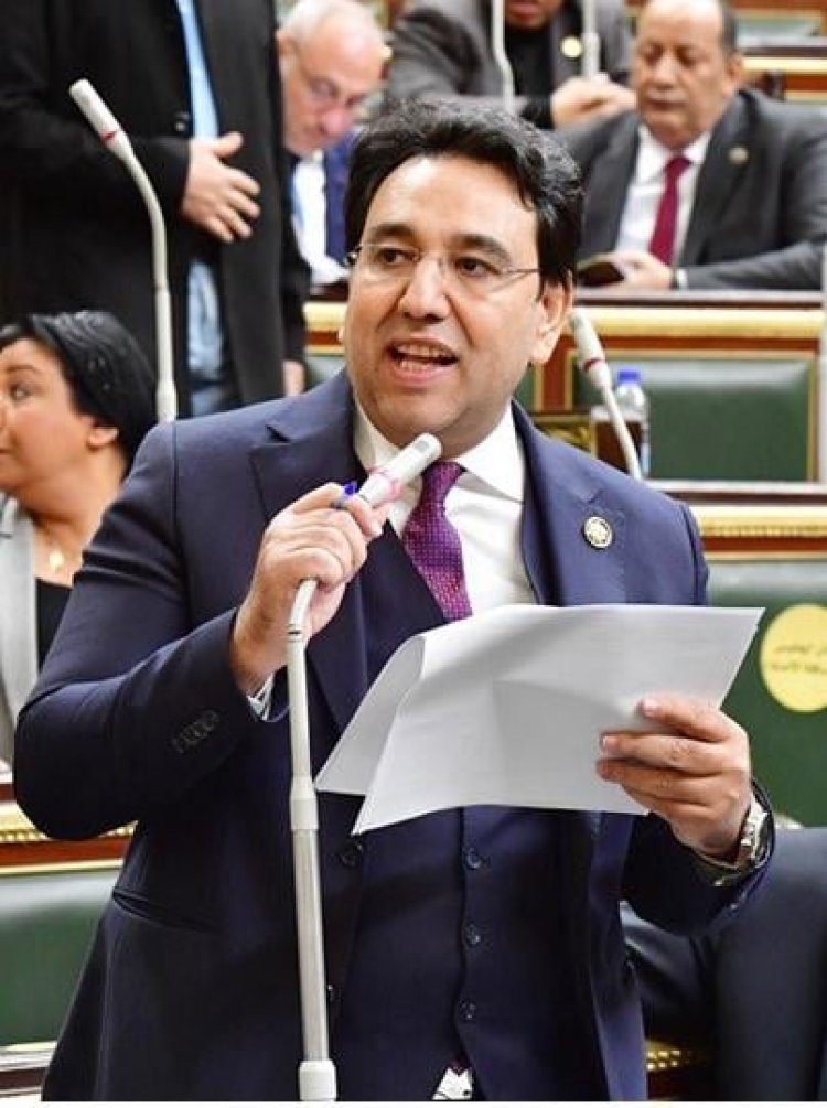 الدكتور أيمن محسب، عضو مجلس النواب،