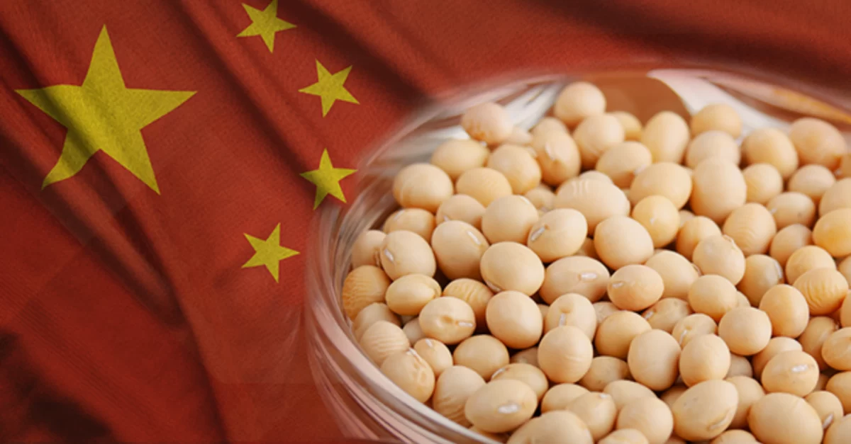 الصين تستعد لحصاد وفير من الحبوب والبذور الزيتية