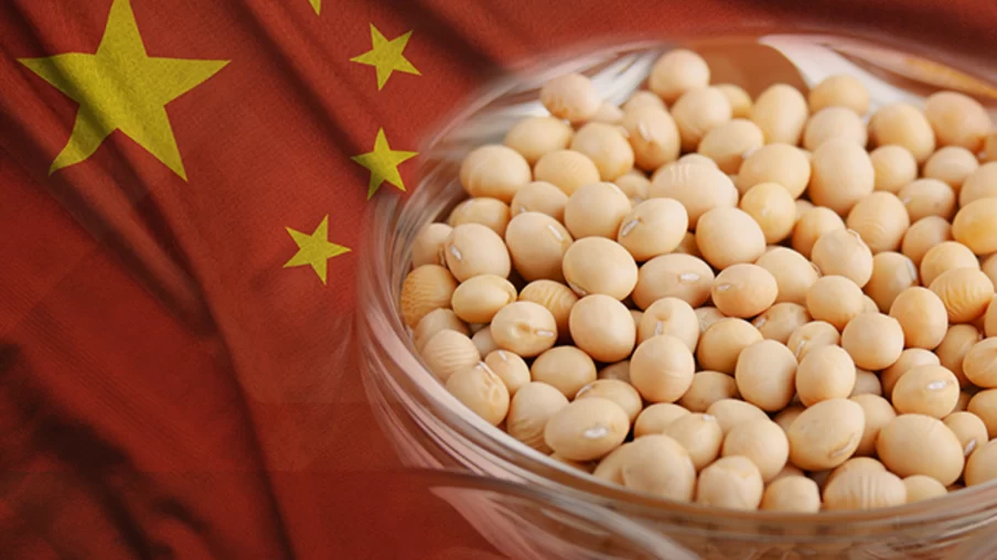 ارتفاع واردات الصين من فول الصويا لتسجل 9.36 مليون طن في أغسطس
