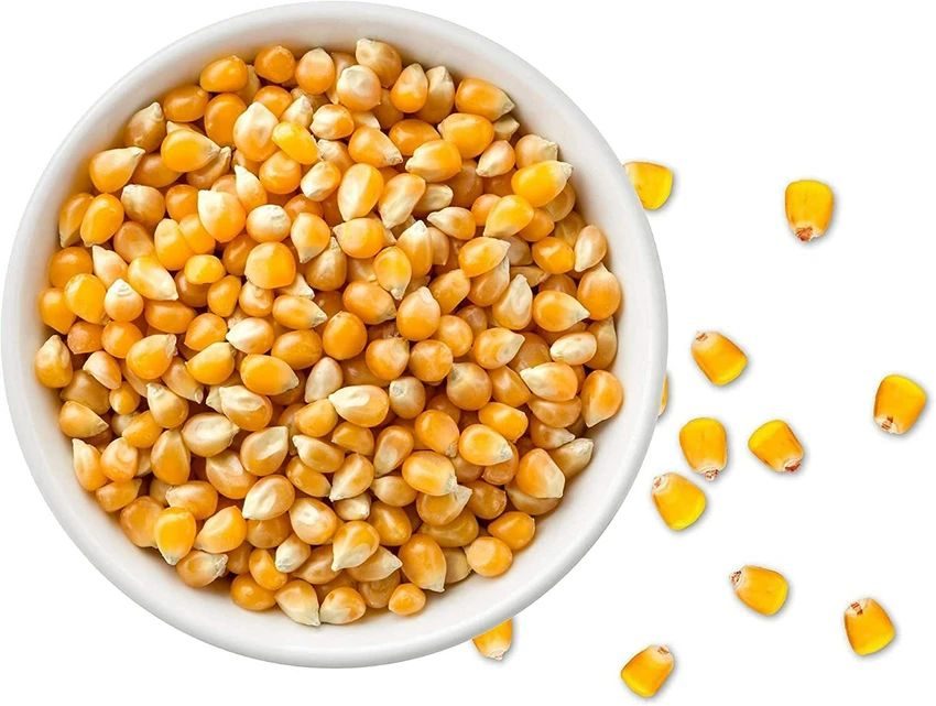 زامبيا تحصد 3.4 مليون طن من الذرة لموسم 2025-2026