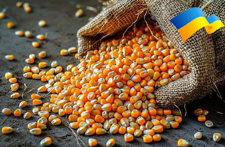 صادرات الذرة الأوكرانية تتجاوز 20.5 مليون طن منذ بداية الموسم