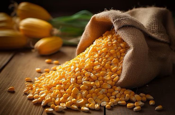 البرازيل تواجه تحديات في تصدير محصول الذرة القياسي