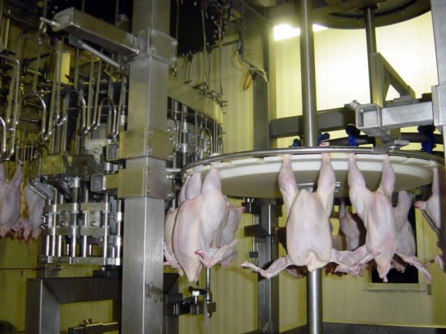 شعبة الدواجن تعقد إجتماع مع الطب البيطري وهيئة سلامة الغذاء لمناقشة اشتراطات المجازر