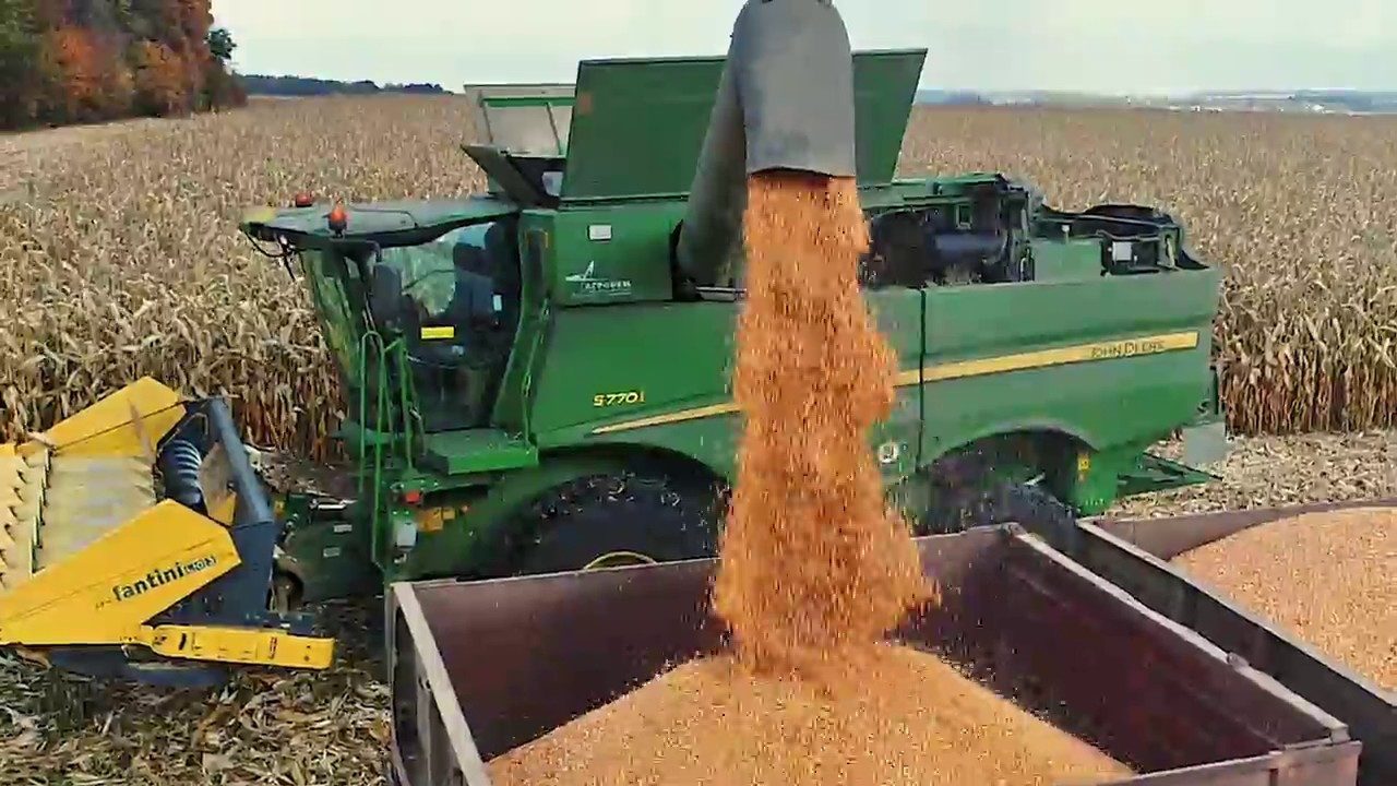 العقود الآجلة للذرة تبلغ أدنى مستوى لها في أسبوعين في ختام جلسة الإثنين