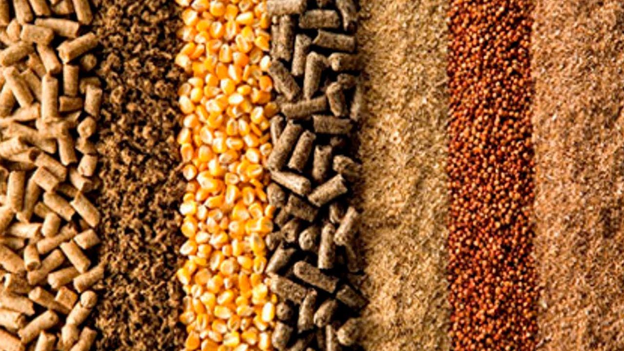 تراجع الصادرات الزراعية للأرجنتين إلى النصف في عام 2023 لتستقر عند 20 مليار دولار