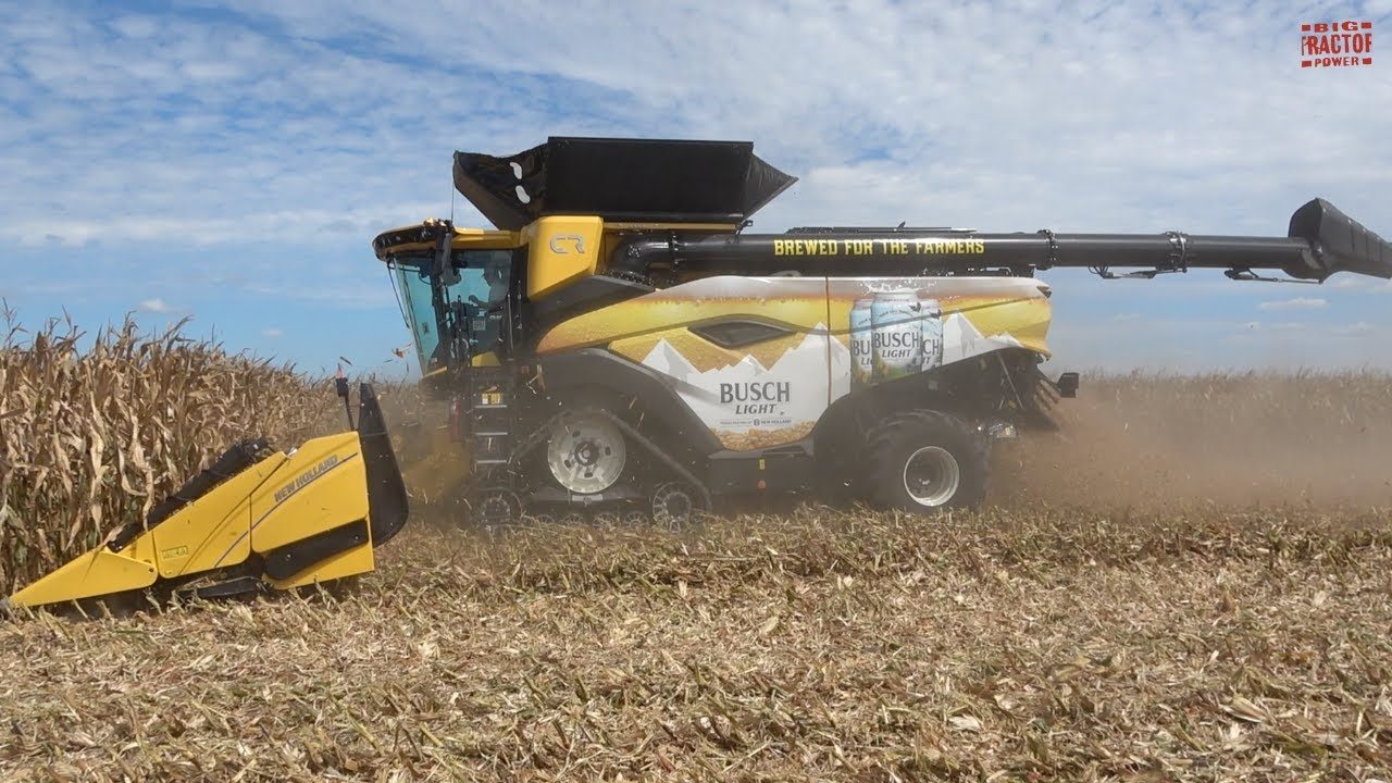 محصول الذرة في ألمانيا ينخفض بنسبة 3.5% لعام 2025