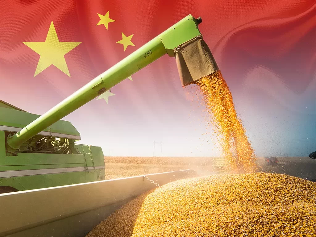 بنسبة 33.3%.. تراجع واردات الصين من الذرة إلى 1.2 مليون طن في أغسطس