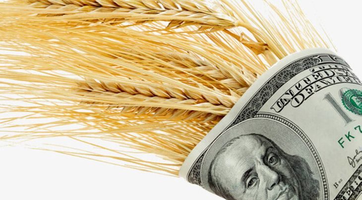 العقود الآجلة للقمح تغلق تداولات الأربعاء على ارتفاع