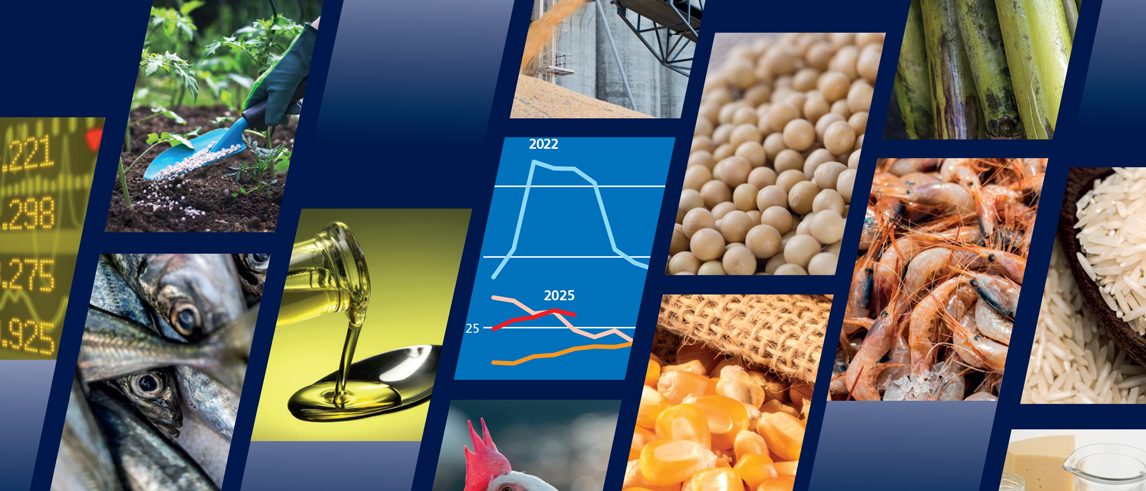 إمدادات الذرة الوفيرة تعزز تجارة الحبوب العالمية بمقدار 5.1 مليون طن خلال موسم 2025-2026