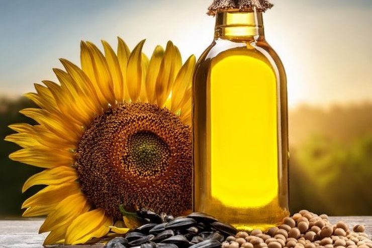 الاتحاد الأوروبي يخفض صادرات البذور الزيتية ومنتجاتها المصنعة منذ بداية الموسم