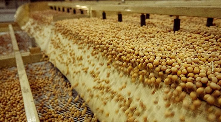 ارتفاع صادرات أوكرانيا من الذرة وفول الصويا بنسبة 10% و28% على التوالي في أغسطس