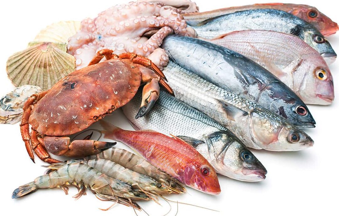 البوري يتراجع 5 جنيهات.. أسعار السمك اليوم الأحد في سوق العبور