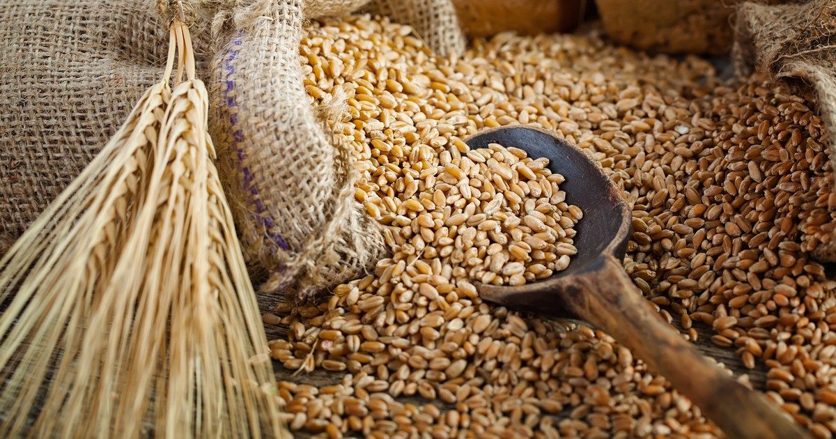 روساجروترانس ترفع توقعاتها لصادرات القمح الروسي في يونيو