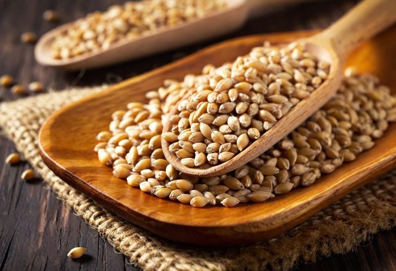 المجلس الدولي للحبوب يرفع تقديراته لمحصول القمح العالمي في موسم 2025-2026