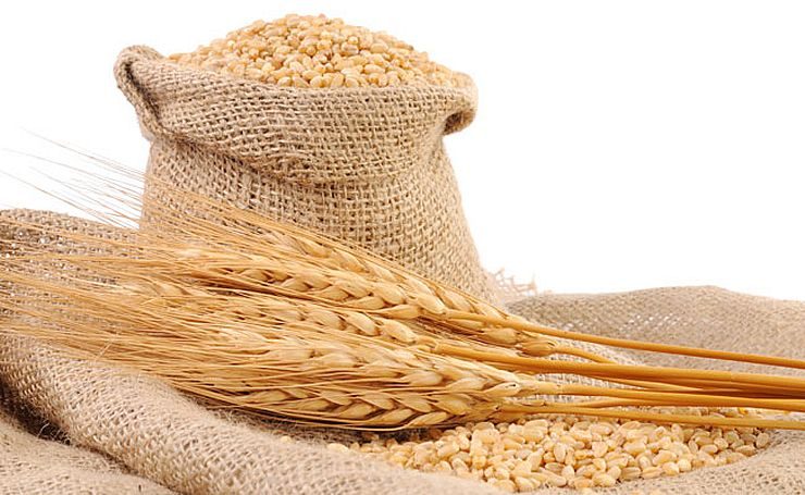 صادرات الحبوب الأوكرانية تقترب من مليون طن في يناير