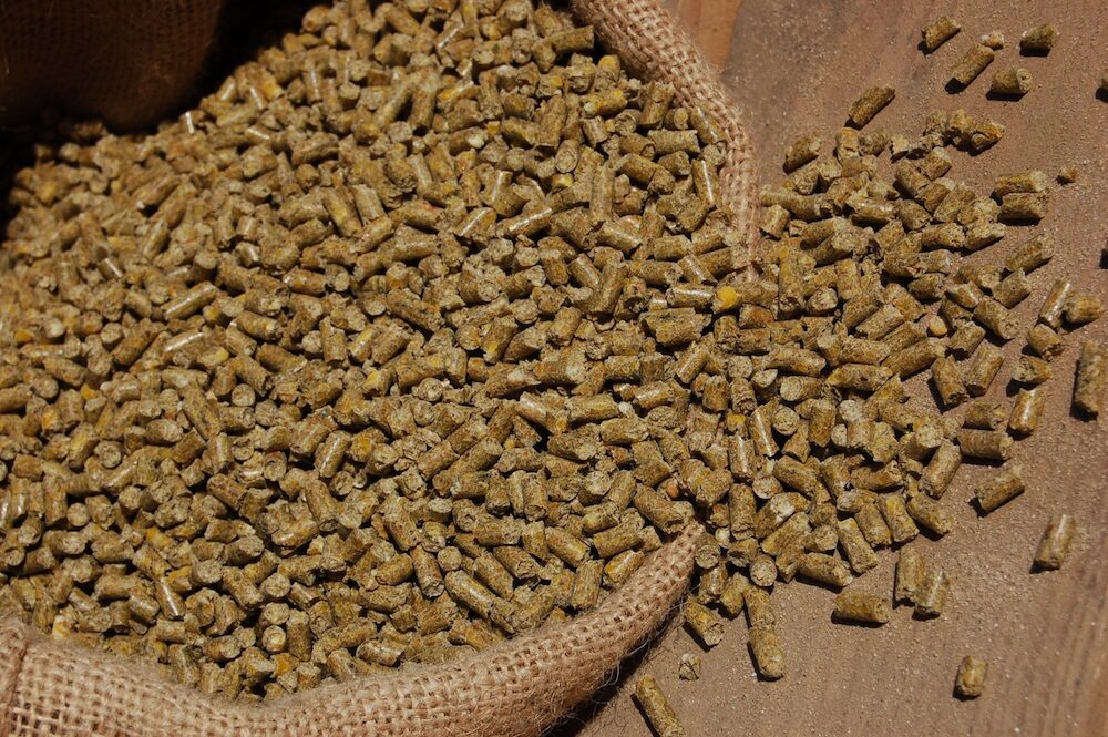 الحمد للأعلاف: المصانع تؤمن احتياجاتها من الخامات لمدة شهر.. والجميع تعلم الدرس