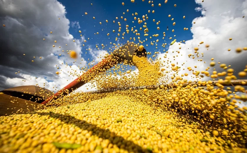 الحبوب الأوكرانية