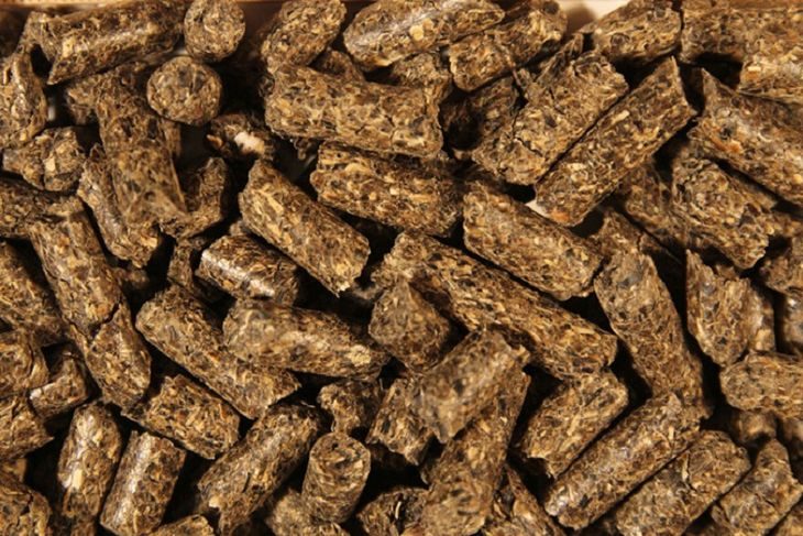 وجبة الصويا