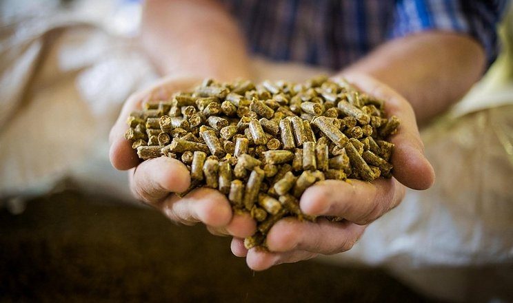 ألمانيا تخفض صادراتها من كسب فول الصويا بنسبة 11% منذ بداية الموسم