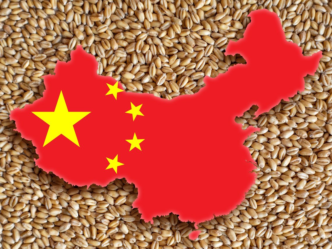 الصين تحطم الرقم القياسي في إنتاج الحبوب بعام 2025