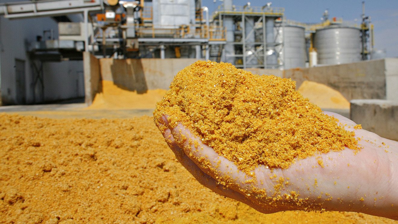 توقعات بانخفاض أسعار كسب فول الصويا العالمية في عام 2024-2025